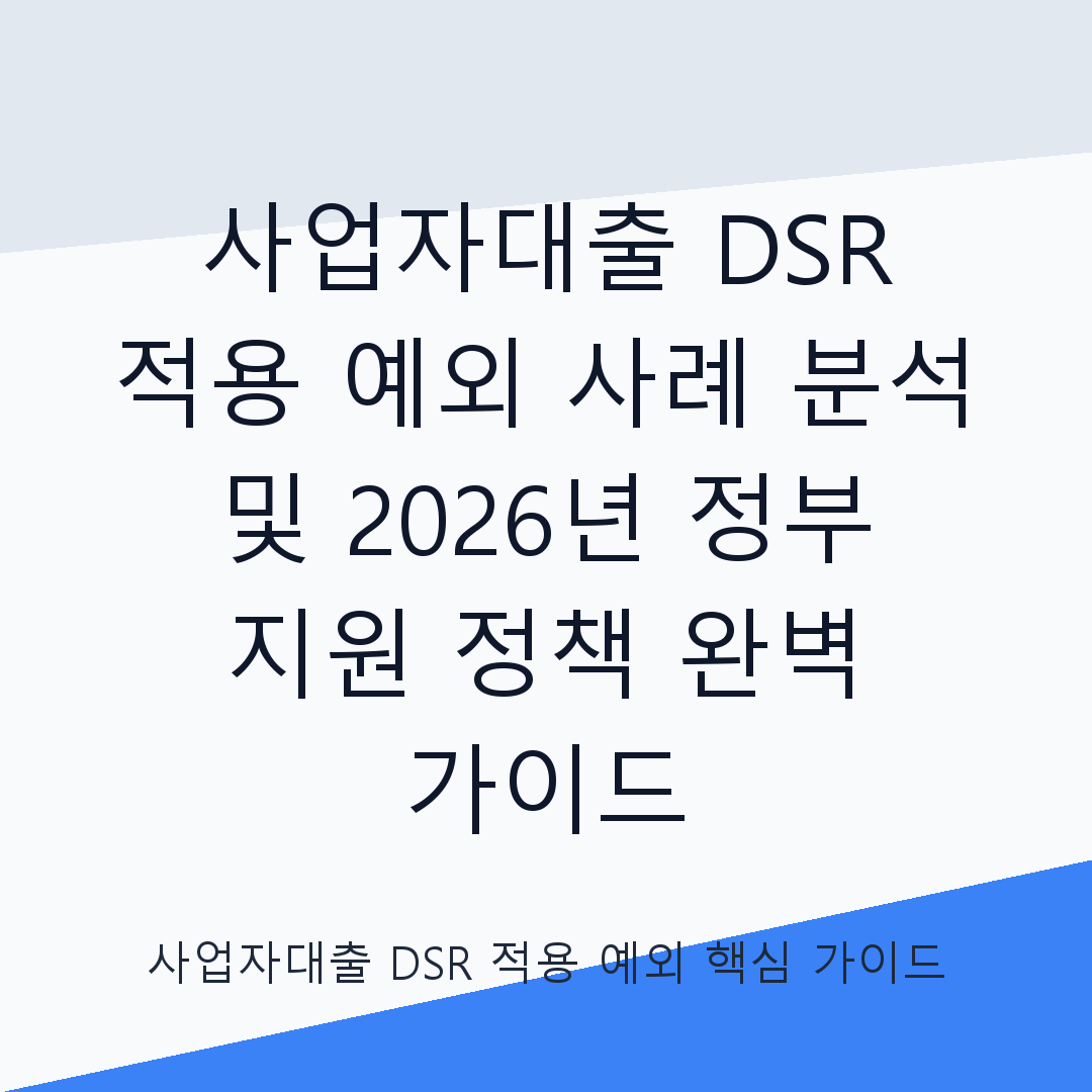 사업자대출 DSR 적용 예외 사례 분