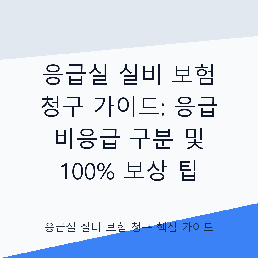 응급실 실비 보험 청구 시 응급 vs