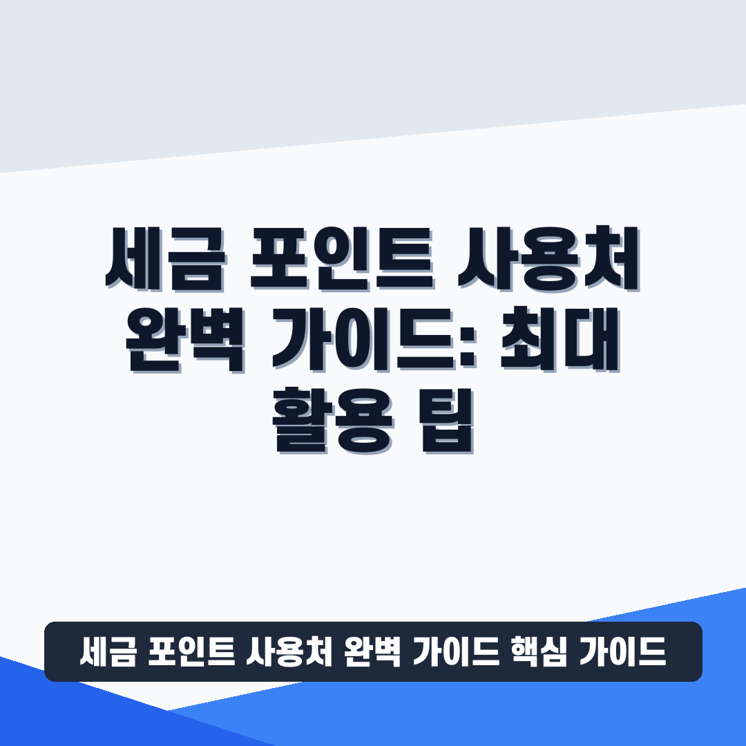 세금 포인트 사용처 완벽 가이드 썸네일 가이드